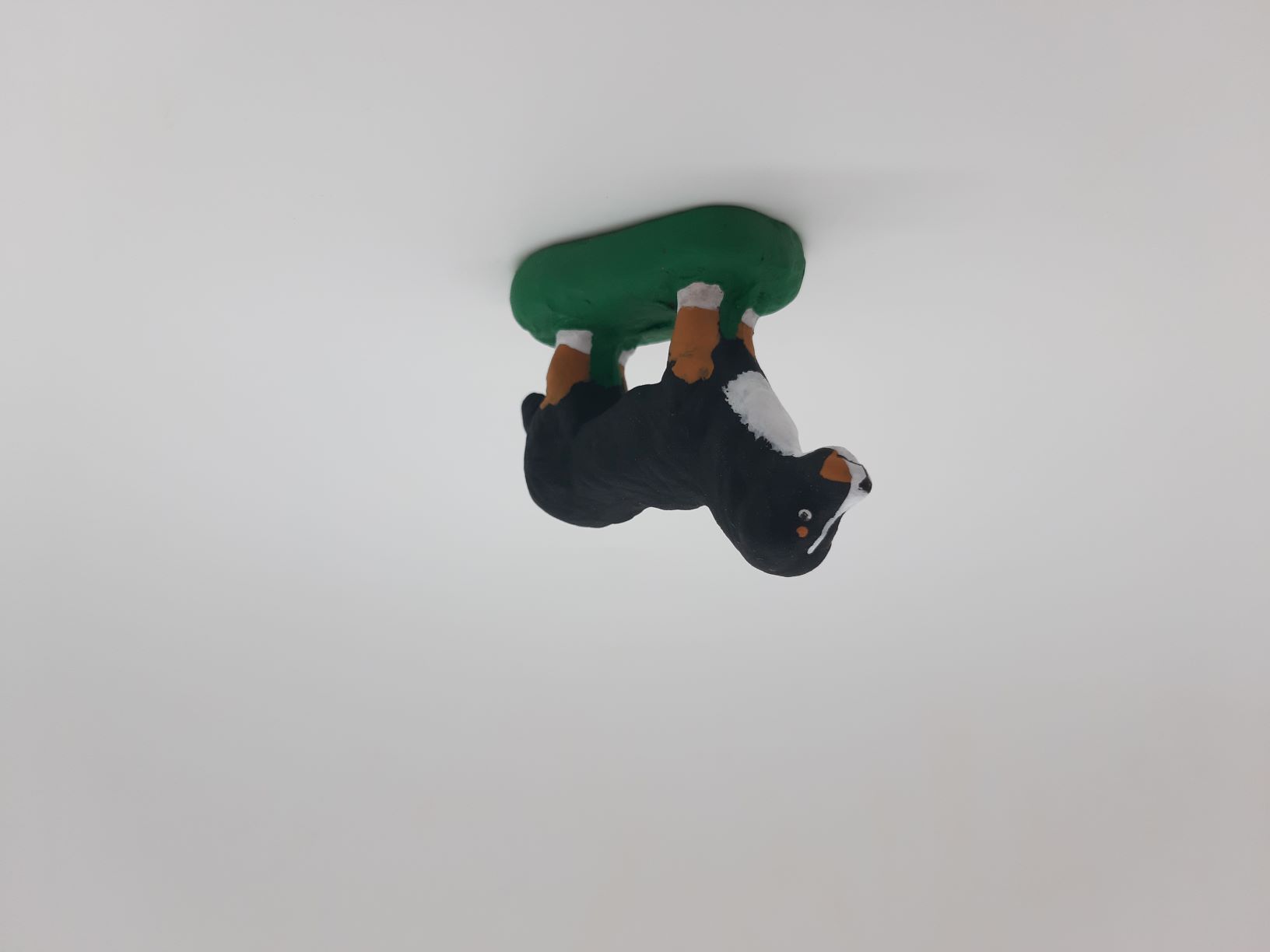 Chien debout - Bouvier